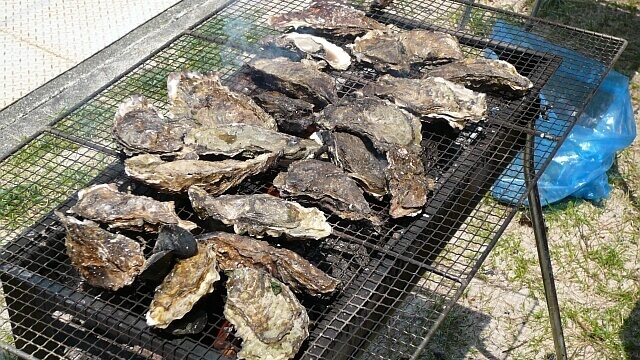 特別価格！2個で100円