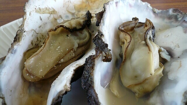 ぷりぷりの逸品の牡蠣