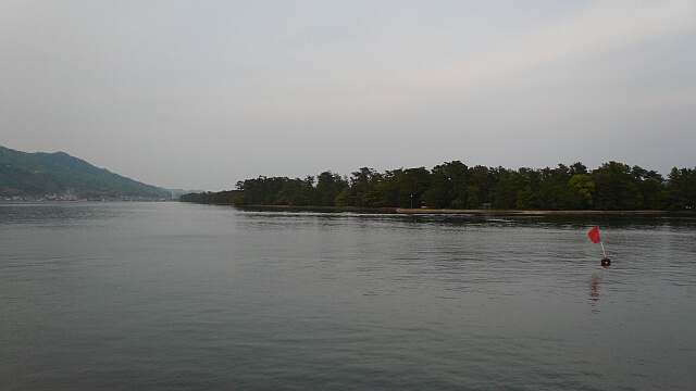 観光船から観た天橋立の松並木