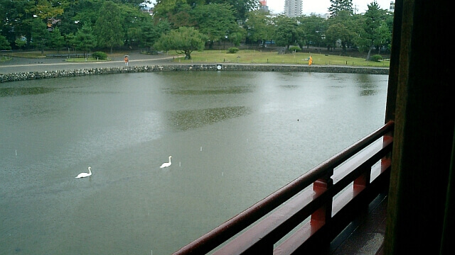 城内から見た松本城公園とお堀