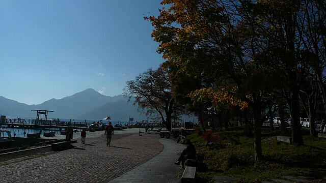 色づいた葉で飾られた湖畔の遊歩道