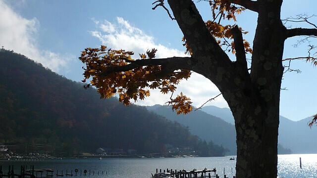 日光に照らされる紅葉と中禅寺湖
