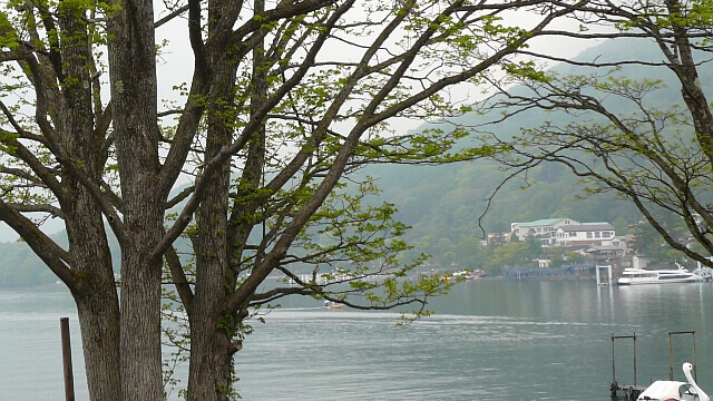 新緑時期の中禅寺湖