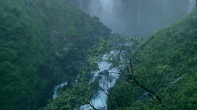 晩夏は藻の緑も深い
