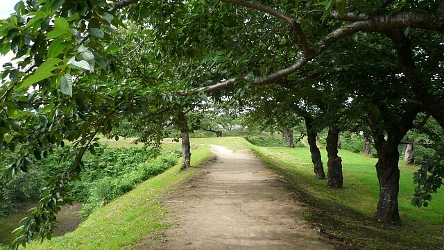 星型に沿って歩ける散歩道
